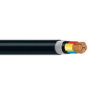 Armoured Cable - Copper - Multi Core - 25 Sq.mm - Per Metre, PC-02060007